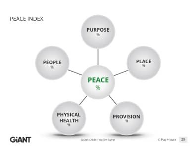 peace index